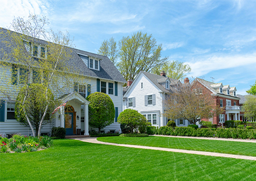 Green Home Lawn